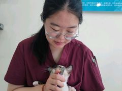 -美联众合动物医院·24h京西诊疗中心