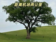 -杭州萧山国际机场