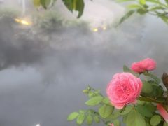 -花溪雨·森林餐厅(石基店)