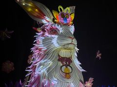 -厦门园林博览苑