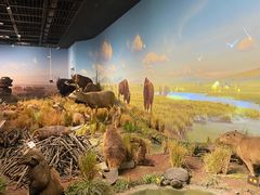 -陕西自然博物馆