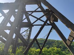 -金钉子远古世界景区