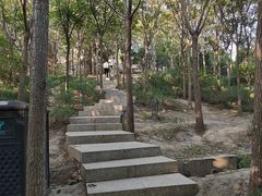 -南翠屏公园