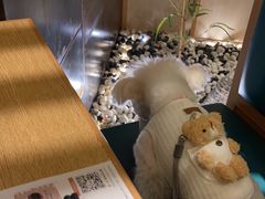 -温野菜涮涮锅(大悦城店)