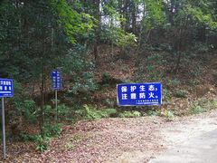 -广州市石门国家森林公园