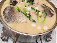 拆烩鲢鱼头-丁老爷子苏香圆