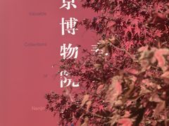 -南京博物院