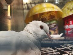 -裕彤国际体育中心