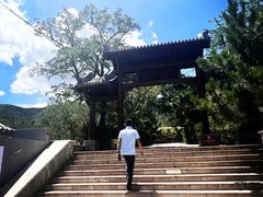 -阳台山自然风景区