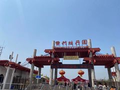 -曹州牡丹园
