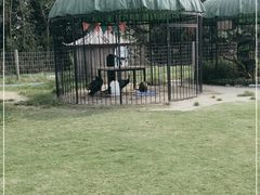 -前小桔亲子创意农场·草莓采摘·露营烧烤