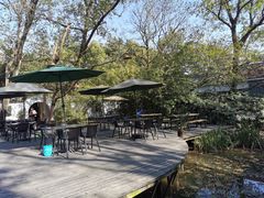 -巢湖名吃·徽府农家菜(半汤店)