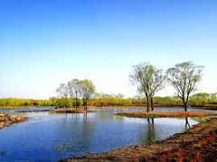 -大兴滨河森林公园