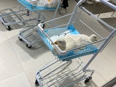 -怪兽屋·羊驼·猫咖·狗咖(俊华广场店)