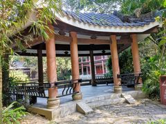 -水濂山森林公园