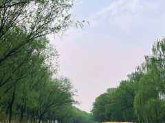 -皇家御河游(紫御湾码头)