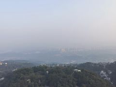 -大金鹰园
