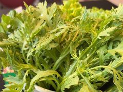 -葛记红焖羊肉(和平路形象店)