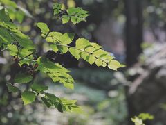-陕西师范大学(雁塔校区)
