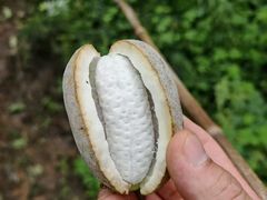 -抱龙峪