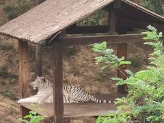 -石家庄市动物园