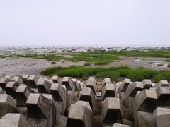 -奉贤海滩