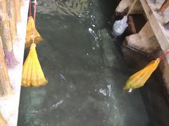 -龙潭大峡谷自然风景区