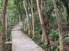 -小南山公园