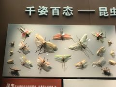 -天津自然博物馆