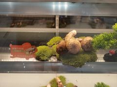 -一朵菌·野生菌探索家火锅(南亚店)