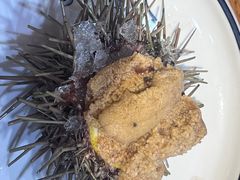 海胆刺身-舟山渔场(临安沙地路店)