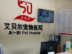 -艾贝尔宠物医院 ·内科全科(梁溪路店)