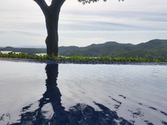 -天乐农家鱼头王(天目湖店)