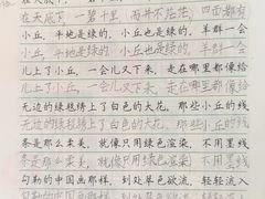 -赵汝飞练字硬笔书法(博泰国际校区)