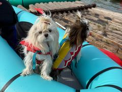 -楠溪江风景名胜区