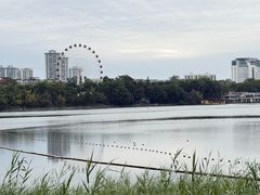 -南宁南湖公园