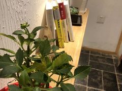 -瓦舍茶馆(聚源路店)