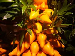 -三旗百汇商品城