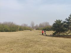 -西安汉城湖景区