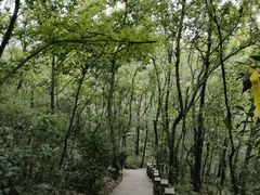 -虞山风景区