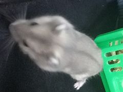 -囍鱼肴炭火烤鱼(丹灶珍丰广场店)