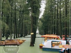 -渌洋湖湿地公园