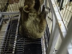 -平行世界·猫咖(首经贸店)