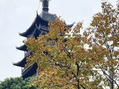 -常熟方塔园