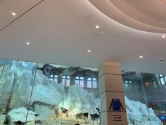 -帝企鹅自助餐厅•儿童岛•真企鹅(长隆企鹅酒店)