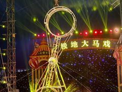 -海合安天津极地海洋公园