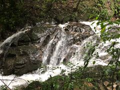 -莫里热带雨林景区