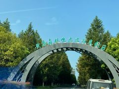 -黄海国家森林公园