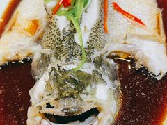 -阿西娅食府(中关村店)