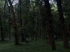 -杭州植物园